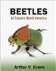 Beetles of Eastern North America