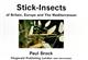 Stick Insects of Britain, Europe and the Mediterranean