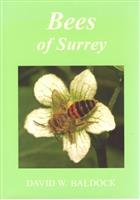 Bees of Surrey