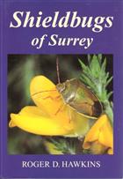 Shieldbugs of Surrey