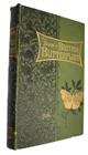 The Book of British Butterflies