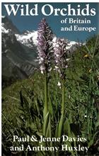 Wild Orchids of Britain and Europe