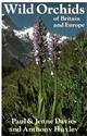 Wild Orchids of Britain and Europe