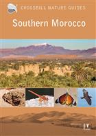 Crossbill Guide: Southern Morocco