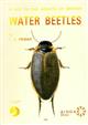 A Key to the Adults of British Water Beetles