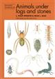 Animals Under Logs and Stones (Naturalists' Handbook 22)