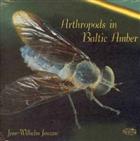 Arthropods in Baltic Amber