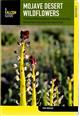 Mojave Desert Wildflowers