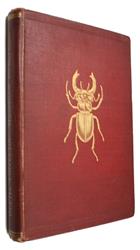 The Young Beetle-Collector's Handbook