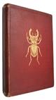 The Young Beetle-Collector's Handbook