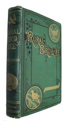Rural Bird Life being Essays on Ornithology with Instructions for Preserving Objects relating to that Science