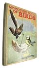 My Picture Book of Birds