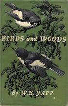 Birds and Woods