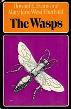 The Wasps