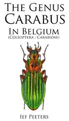 The Genus Carabus in Belgium: (Coleoptera: Carabidae)