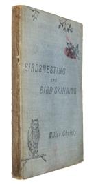 Birdsnesting and Bird-skinning: A complete description of the nests and eggs of birds which breed in Britain