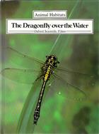 The Dragonfly over the Water