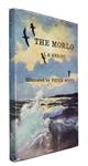 The Morlo