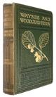 Wayside and Woodland Trees: A Pocket Guide to the British Sylva