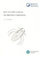 Key to the Larvae of British Corixidae