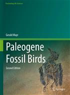 Paleogene Fossil Birds
