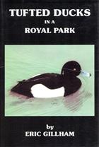 Tufted Ducks in a Royal Park