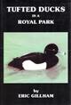 Tufted Ducks in a Royal Park