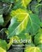 Hedera: The Complete Guide