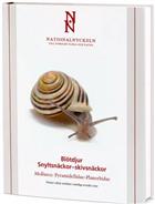 Mollusca: Pyramidellidae - Planorbidae Blötdjur: Snyltsnäckor – Skivsnäckor (Nationalnyckeln till Sveriges Flora och Fauna)