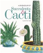 A Splendour of Succulents & Cacti