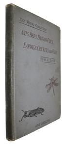 The Young Collector's Handbook of Ants, Bees, Dragon-flies, Earwigs, Crickets, and Flies (Hymenoptera, Neuroptera, Orthoptera, Hemiptera, Diptera)