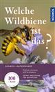 Welche Wildbiene ist das? Einfach erkennen und bestimmen