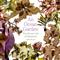 An Ocean Garden: The Secret Life of Seaweed