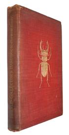 The Young Beetle-Collector's Handbook