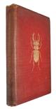 The Young Beetle-Collector's Handbook