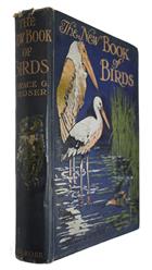 The New Book of Birds: An album of Natural History