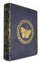 Popular British Entomology: containing a familiar and technical description of the insects most common to the localities of the British Isles