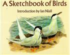 A Sketchbook of Birds