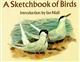 A Sketchbook of Birds