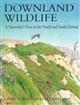 Downland Wildlife: A Naturalist's Year in the North and South Downs