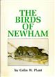 The Birds of Newham