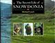 The Secret Life of Snowdonia