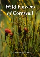 Wild Flowers of Cornwall