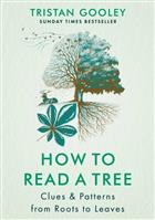  How to Read a Tree: Clues & Patterns from Roots to Leaves