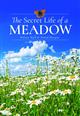 The Secret Life of a Meadow