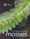 The Hidden World of Mosses