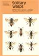 Solitary Wasps