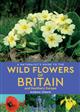 A Naturalist's Guide to the Wild Flowers of Britain and Northern Europe