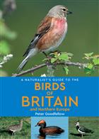 A Naturalist's Guide to the Birds of Britain and Northern Europe