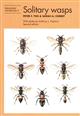 Solitary Wasps (Naturalists' Handbooks 3)
